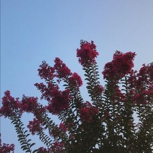 Meet your Posher, Georgia